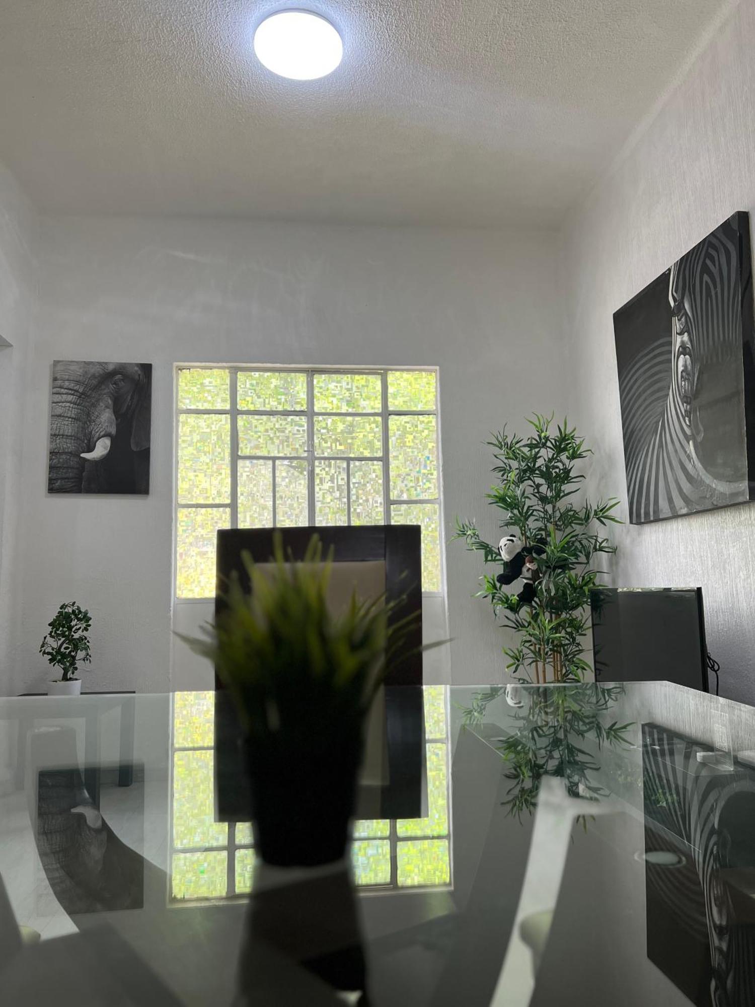 Apartment Impecable Depto En La Roma Mexiko-Stadt
